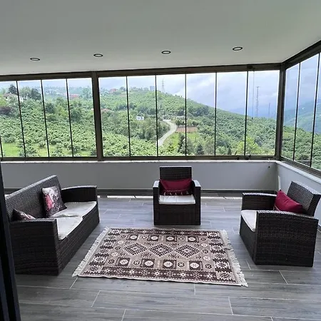 Apartment Next
