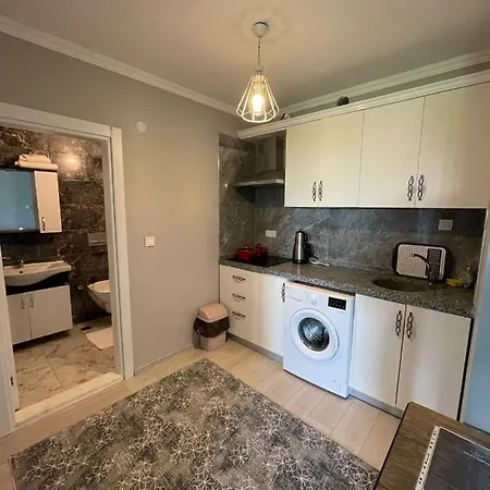 Next Apartament *